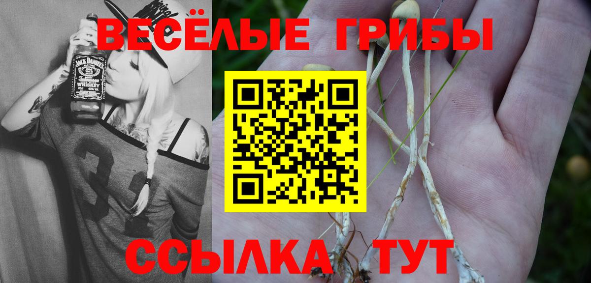 Галлюциногенные грибы ЛСД Костомукша